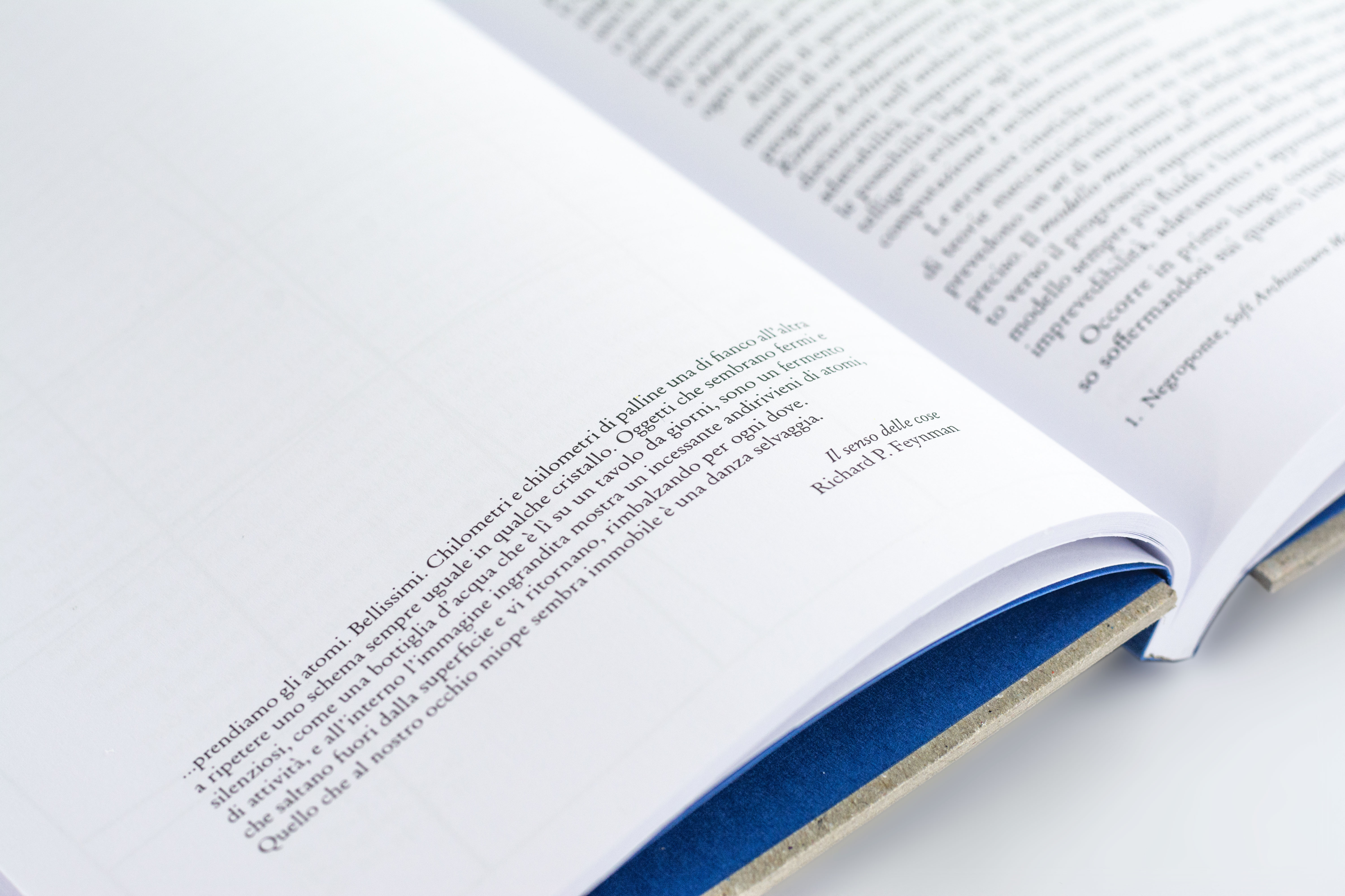 Meristema lab, Annarita_Bianco, In|action, interaction design thesis