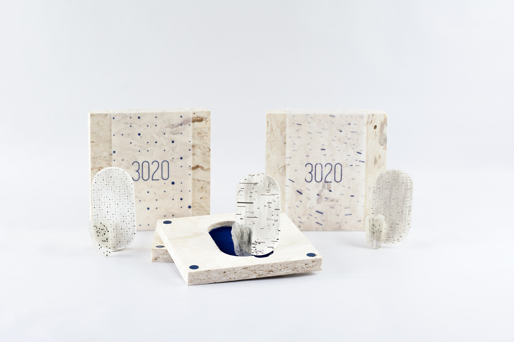 Meristema_lab_3020